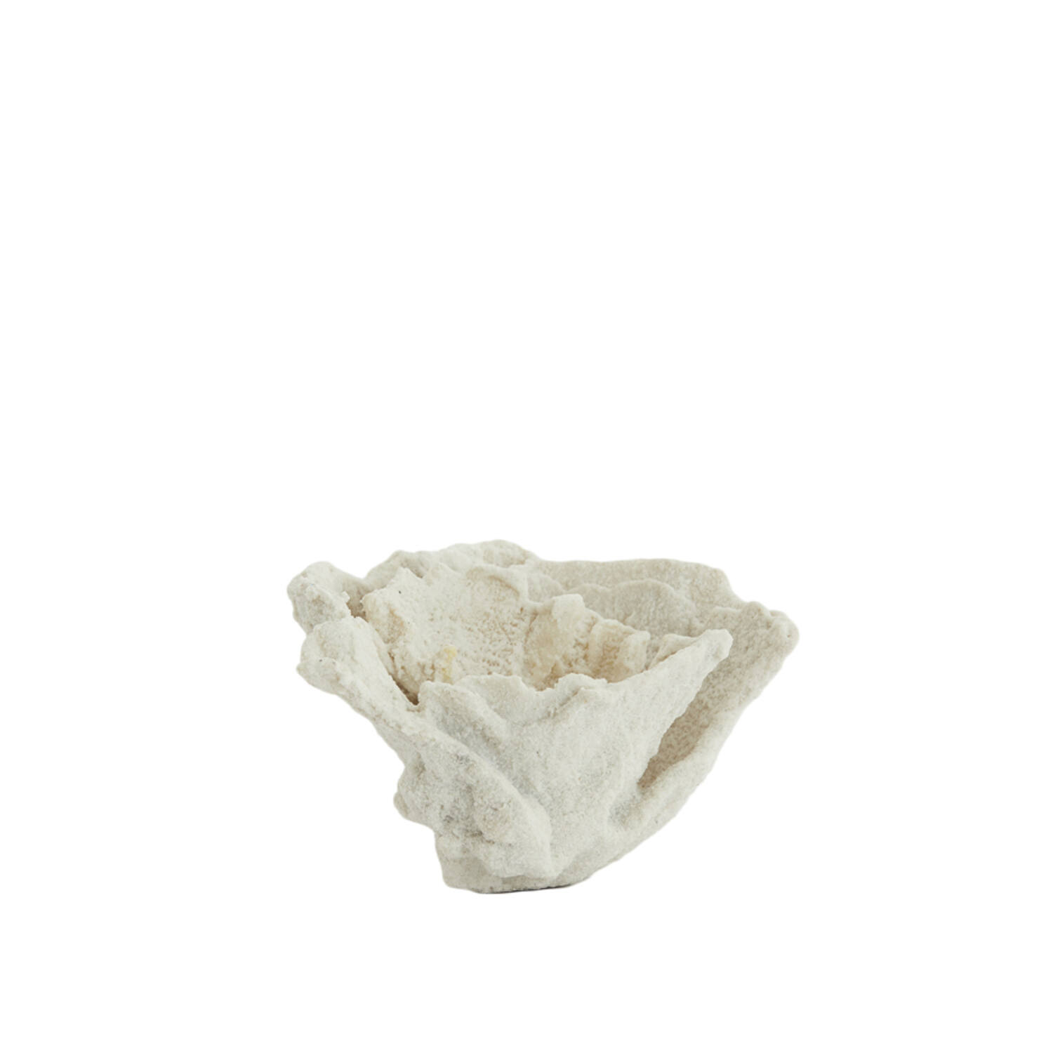 Ornament 23x16x13 cm CORAL crème