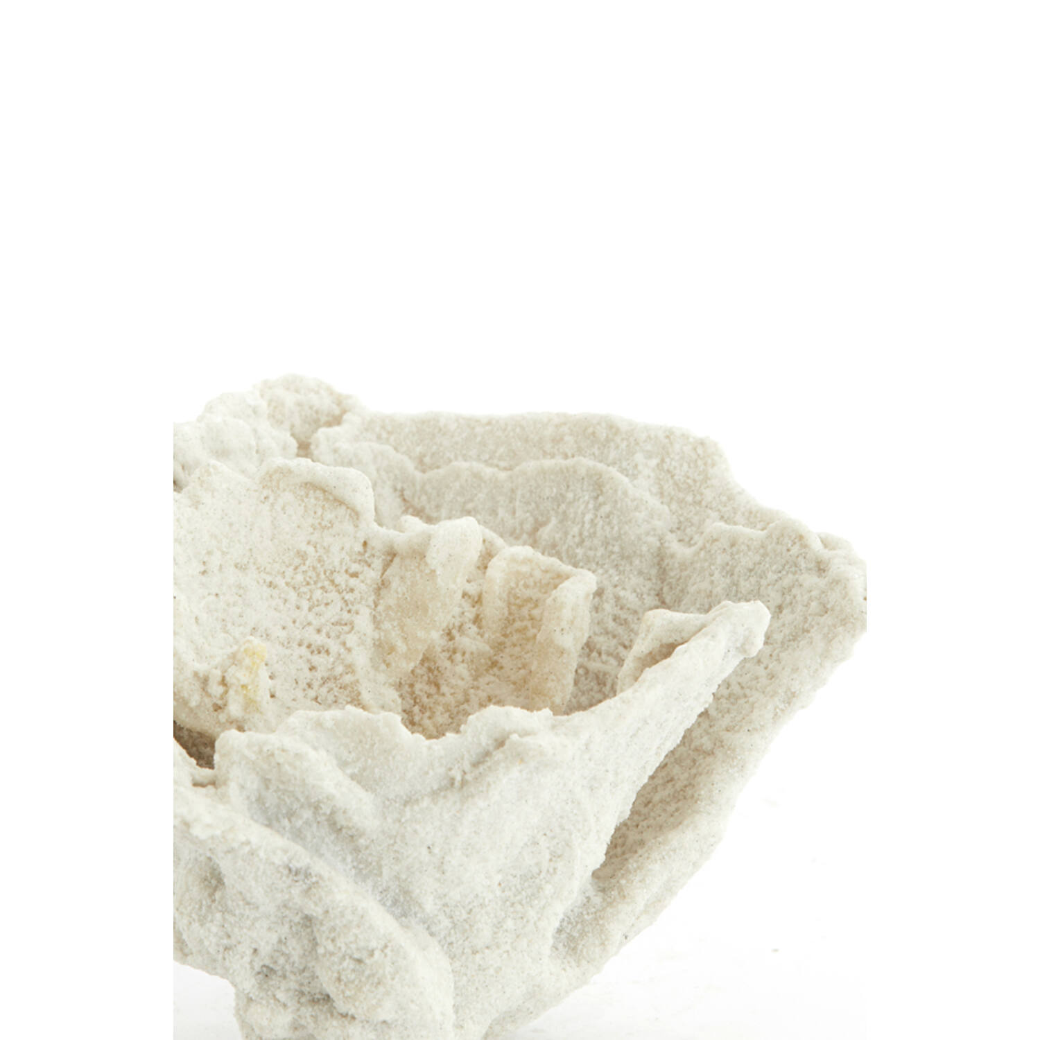 Ornament 23x16x13 cm CORAL crème