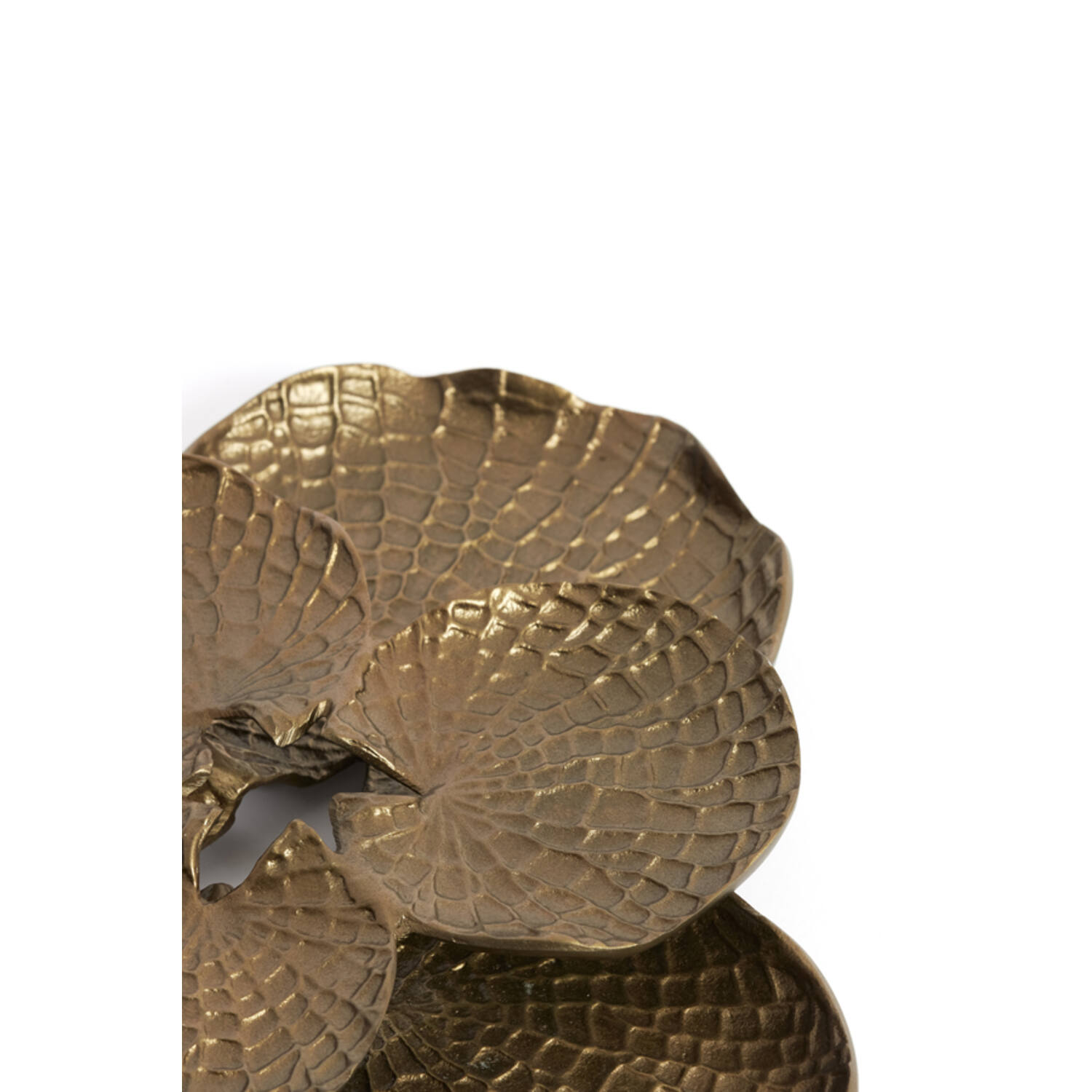 Wall ornament 30x29x6 cm SOLASSI gold