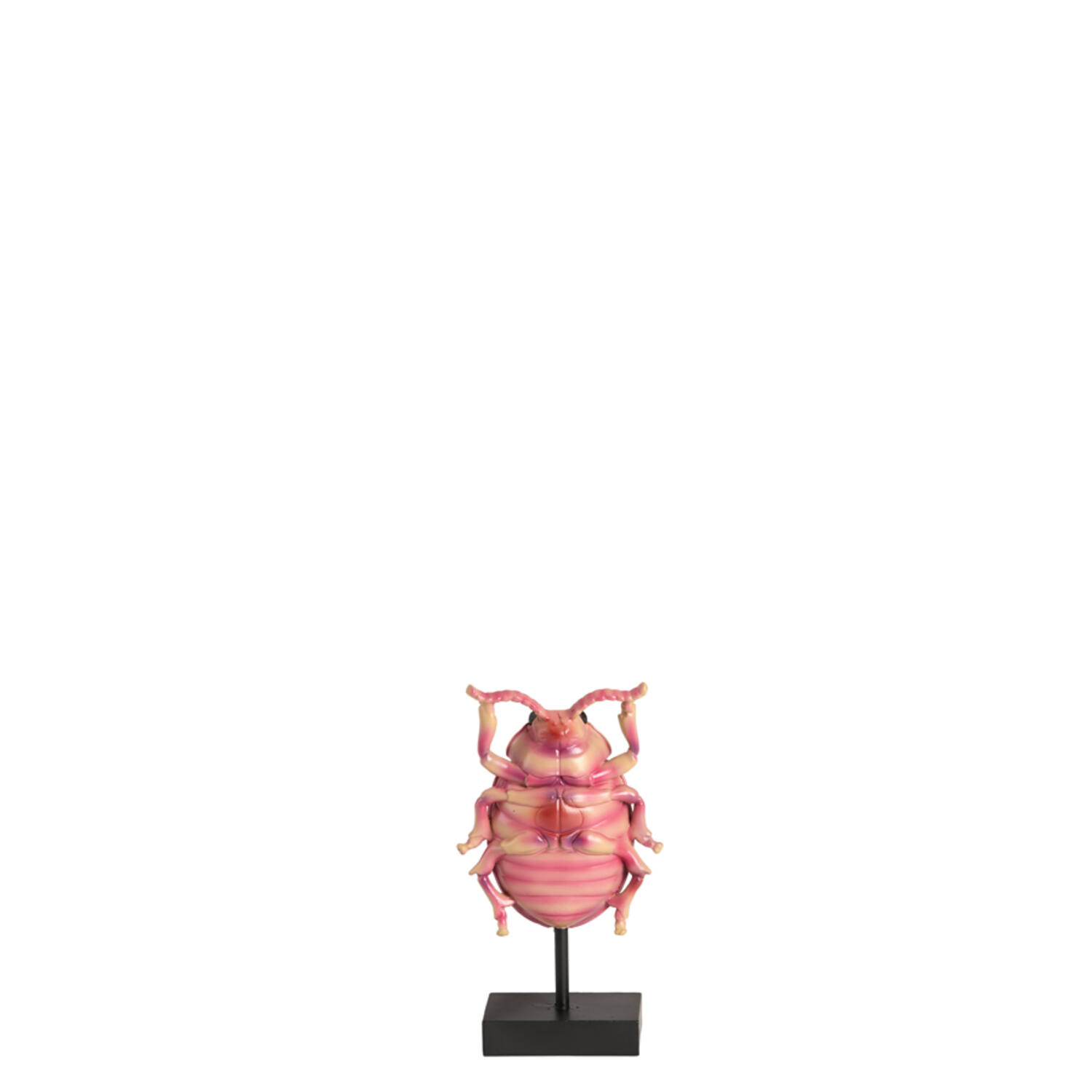 Ornament on base 9x5x16,5 cm BEETLE light pink+black