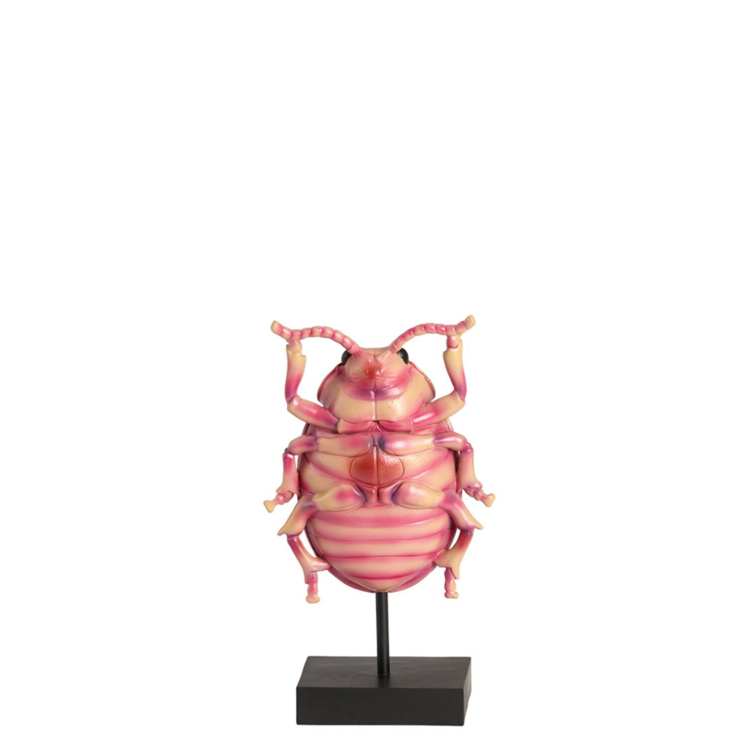 Ornament on base 15x8,5x27 cm BEETLE light pink+black