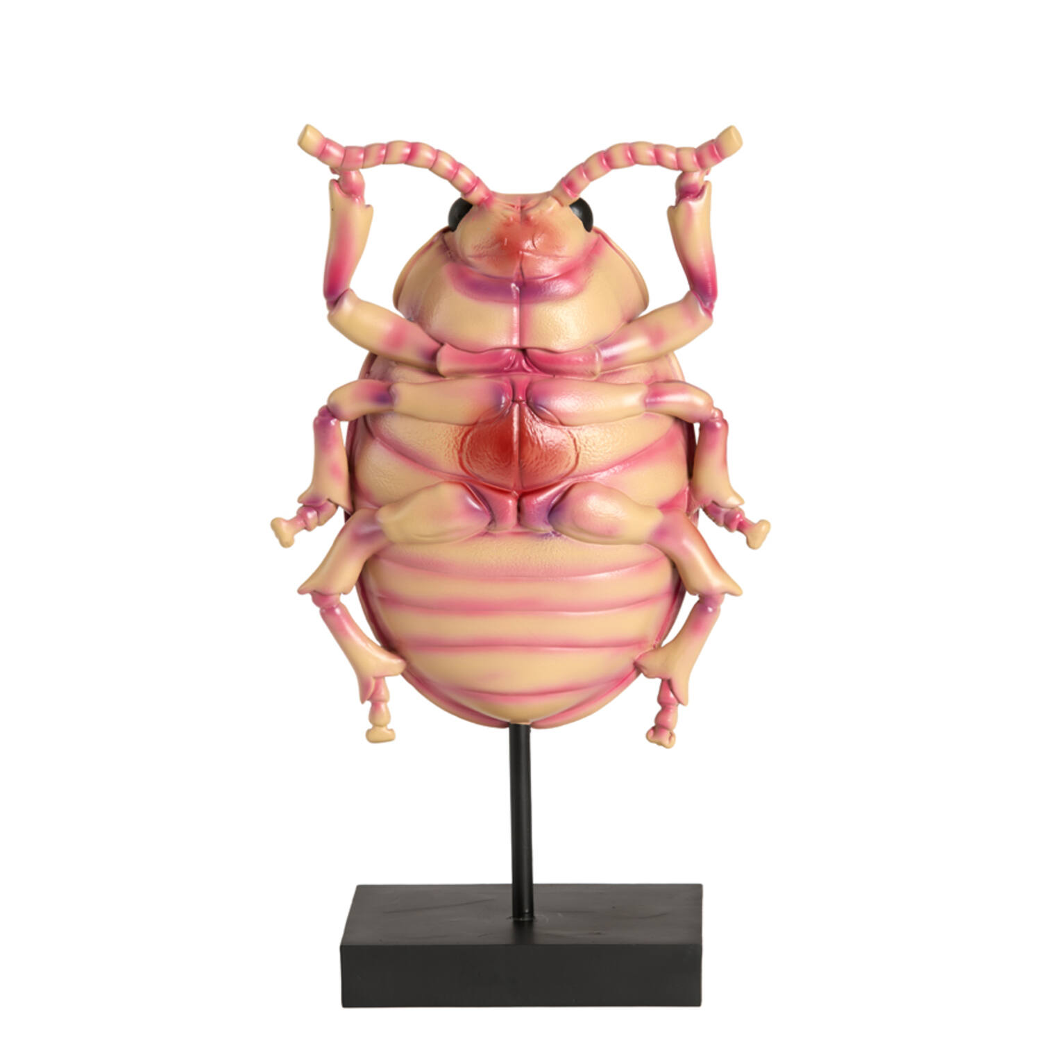 Ornament on base 22x12x42 cm BEETLE light pink+black