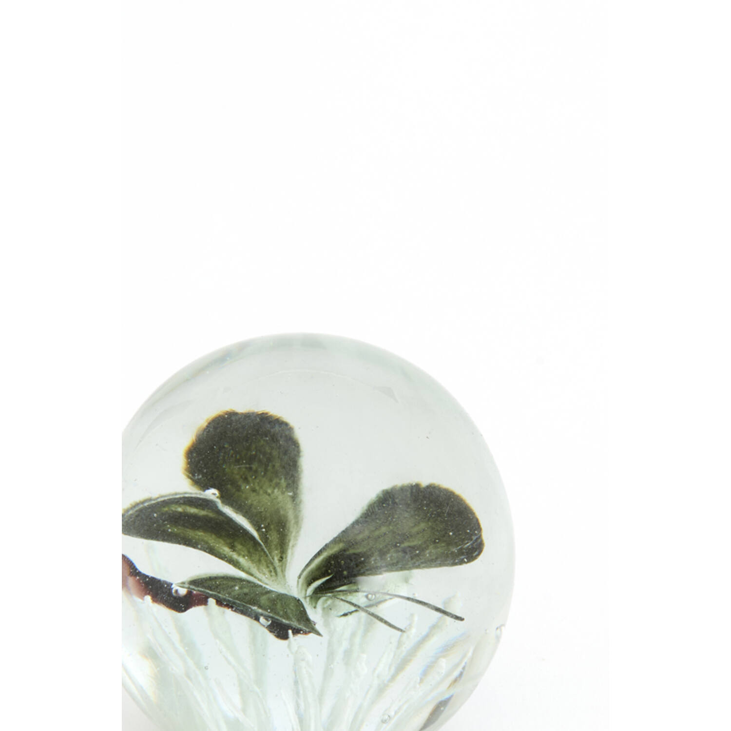 Ornament Ø8x8 cm BUTTERFLY glass black