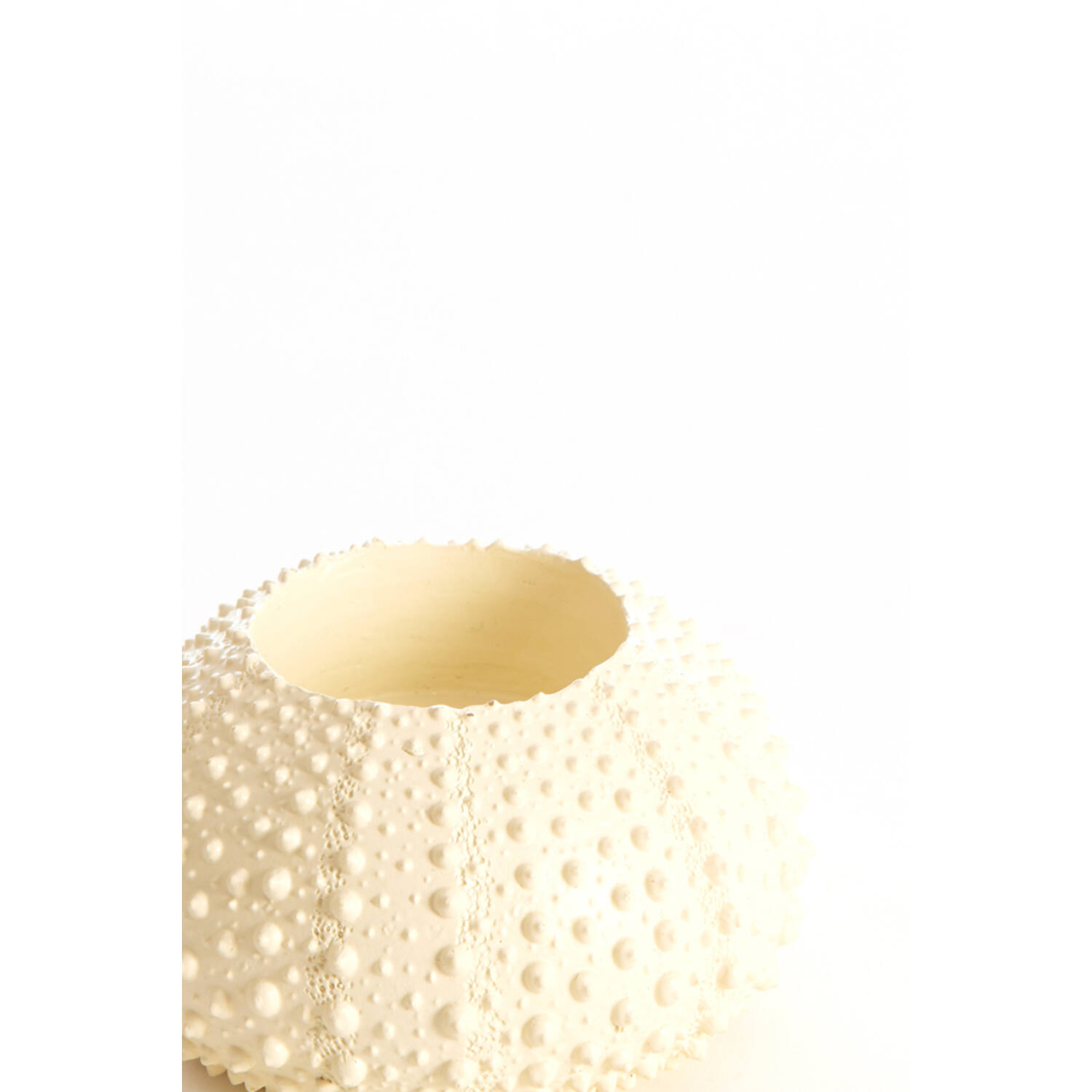 Tealight holder Ø9x6 cm SEA URCHIN cream