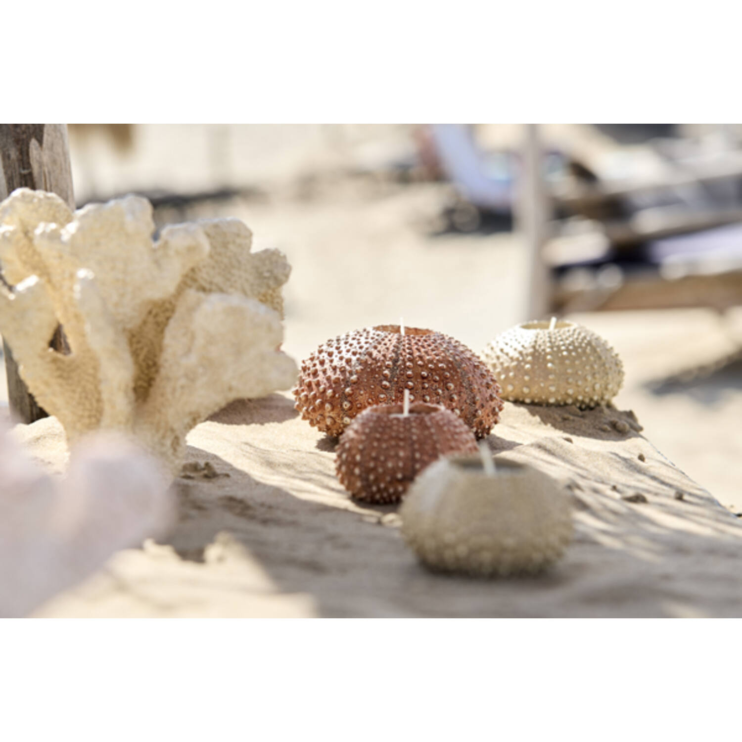 Tealight holder Ø12x7 cm SEA URCHIN cream