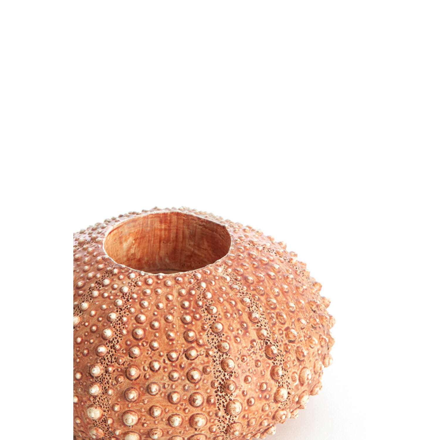 Tealight holder Ø12x7 cm SEA URCHIN red