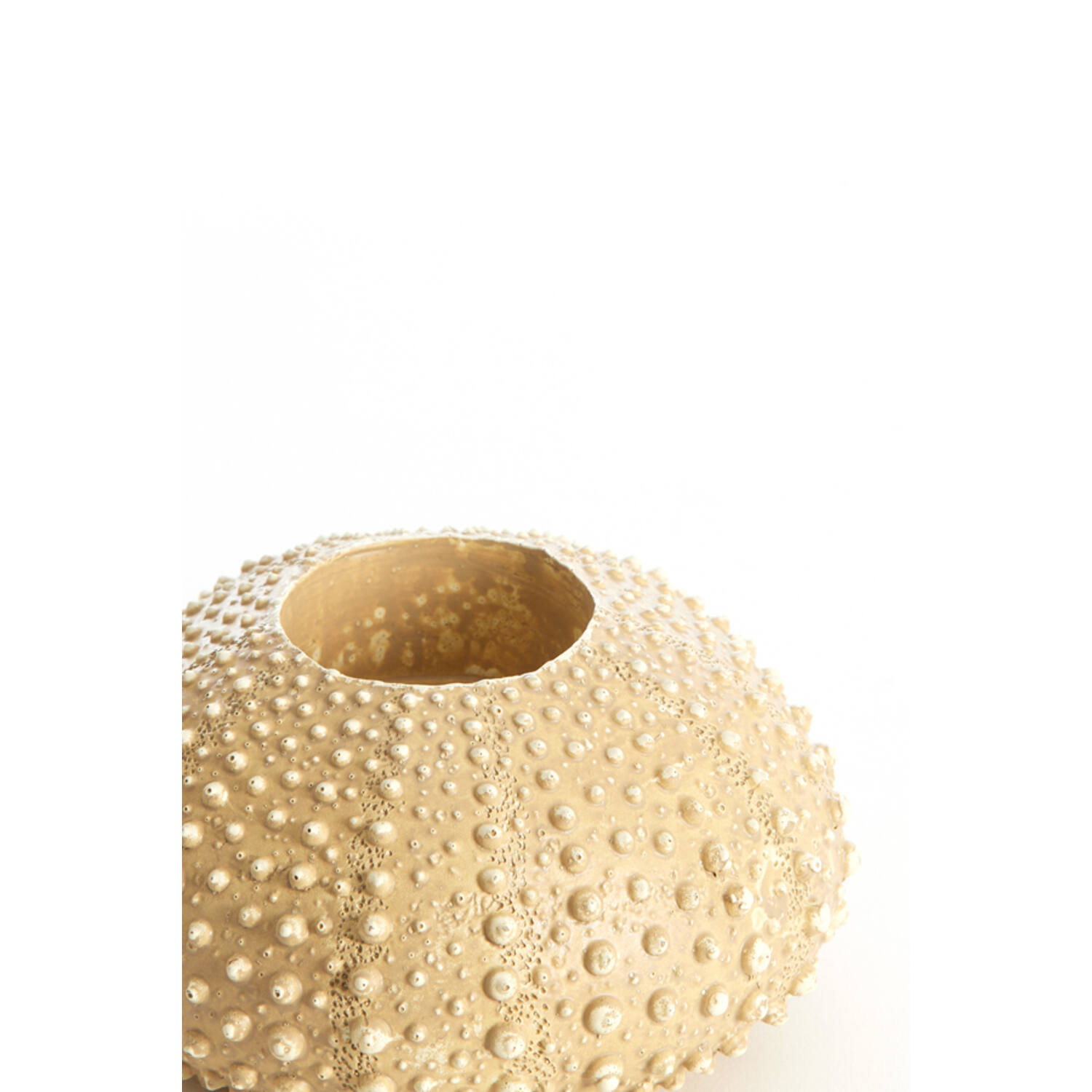 Tealight holder Ø12x7 cm SEA URCHIN sand