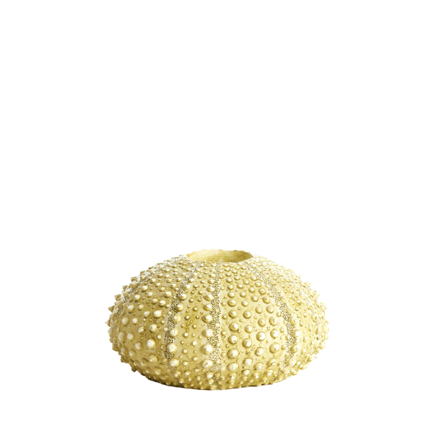 Tealight holder Ø15x8 cm SEA URCHIN green