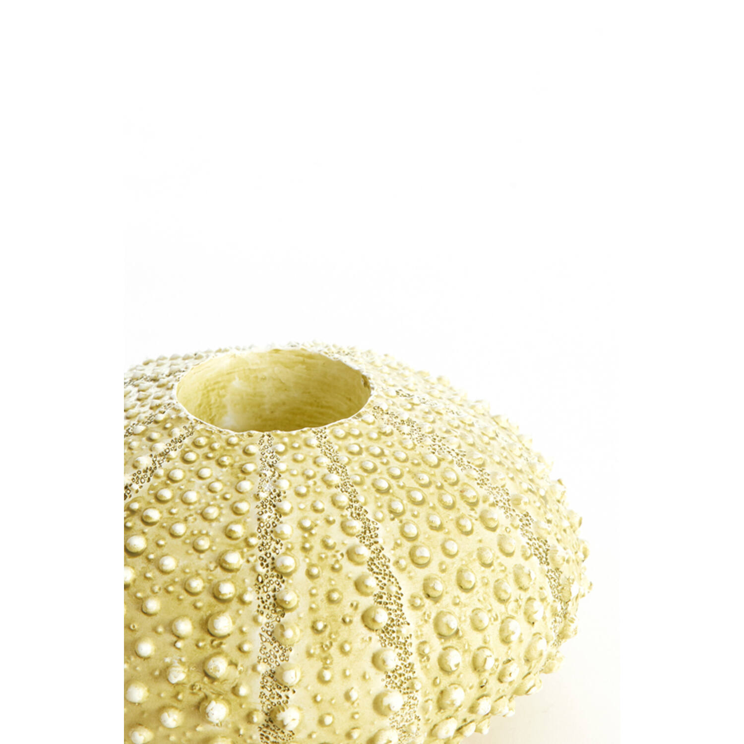 Tealight holder Ø15x8 cm SEA URCHIN green
