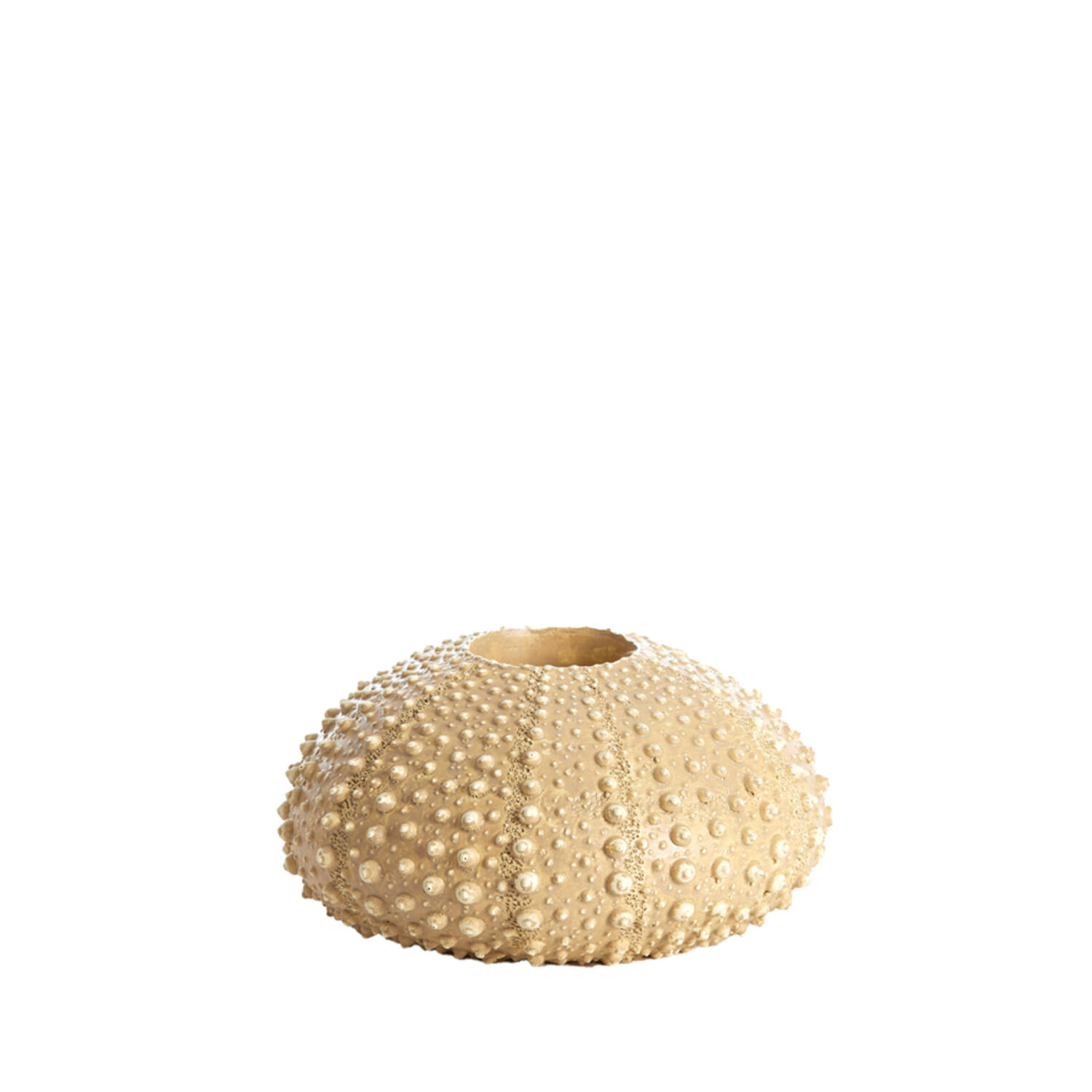 Tealight holder Ø15x8 cm SEA URCHIN sand