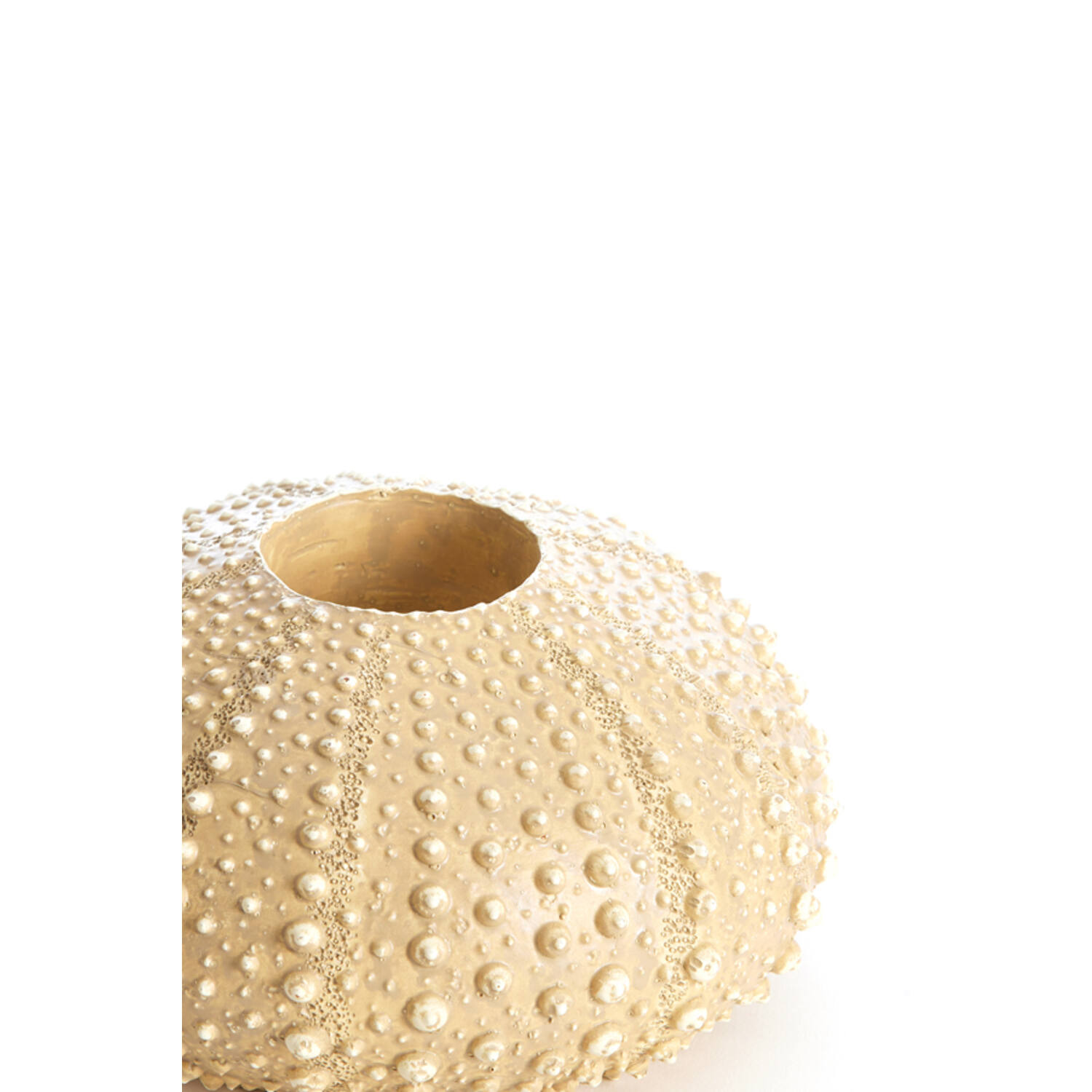 Tealight holder Ø15x8 cm SEA URCHIN sand