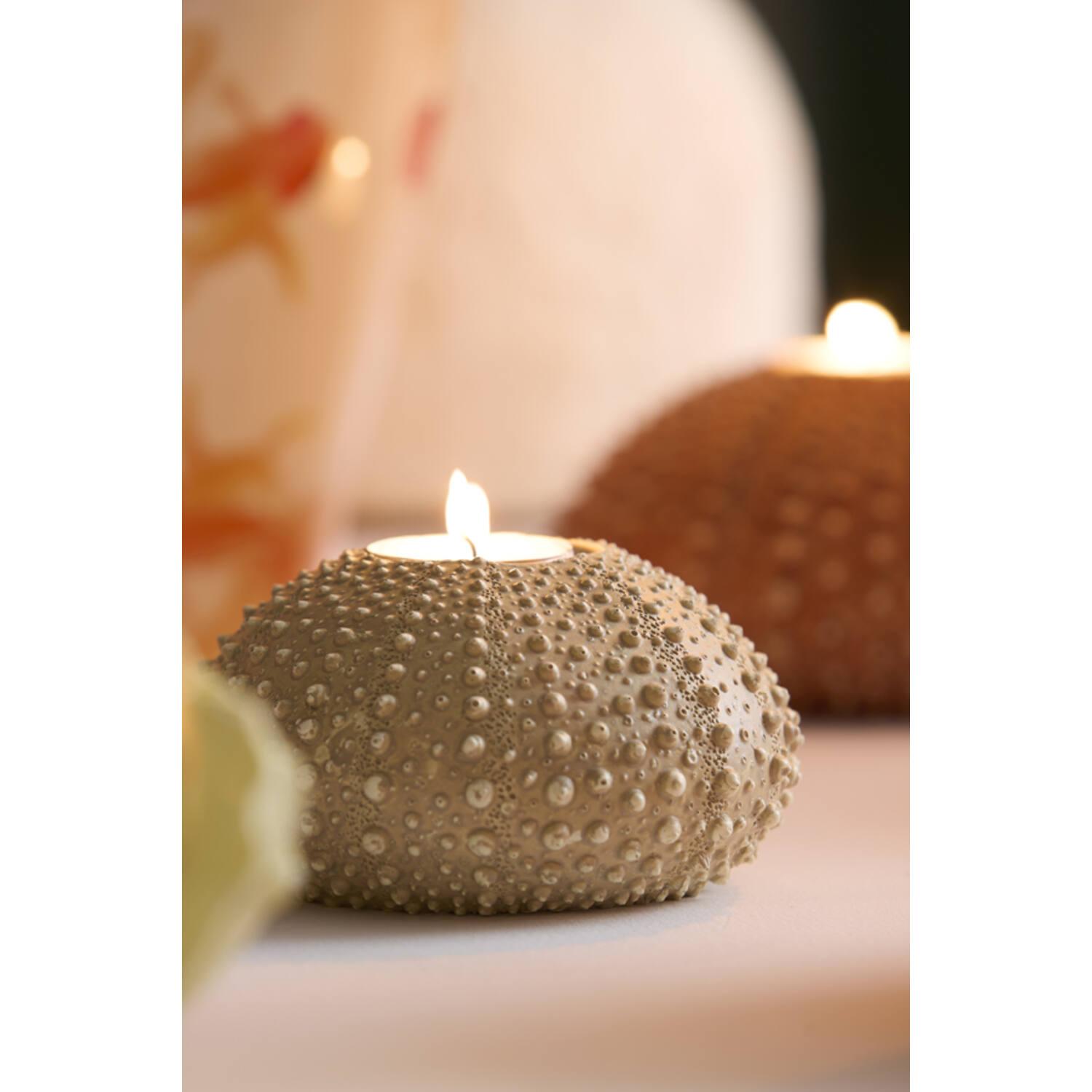 Tealight holder Ø15x8 cm SEA URCHIN sand