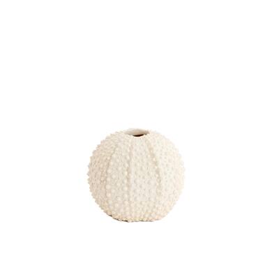 Vaas deco Ø16x14 cm SEA URCHIN crème