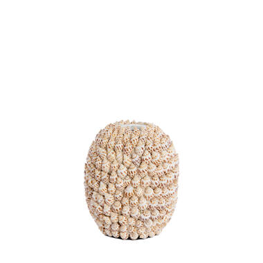 Vaas deco Ø15,5x17,5 cm SHELL crème+bruin