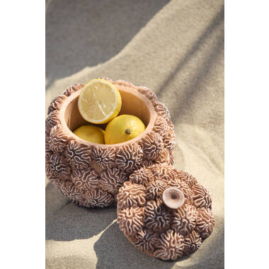 Deco box+deksel Ø17x16 cm CORAL perzik-licht bruin