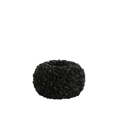 PP01431