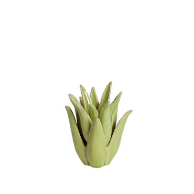 PP02258
