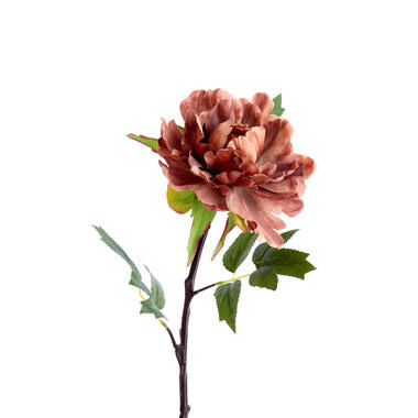 Artificial flower 15x10x65 cm PEONIA orange-brown