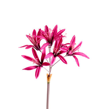 Artificial flower Ø13x86 cm LYCORIS pink