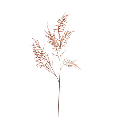 Artificial flower 30x5x132 cm SPARGEL brown