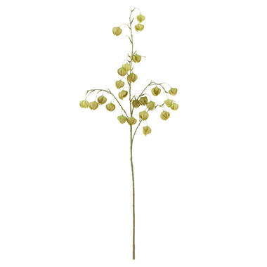 Artificial flower 20x10x100 cm PHYSALIS light green