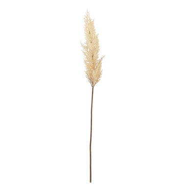 Artificial flower 10x10x96 cm PAMPAS beige