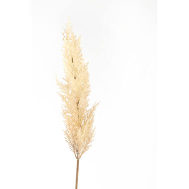 Artificial flower 10x10x96 cm PAMPAS beige