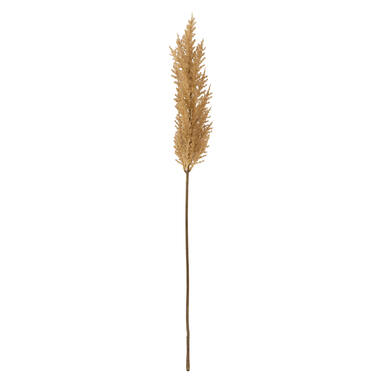 Artificial flower 10x10x96 cm PAMPAS brown