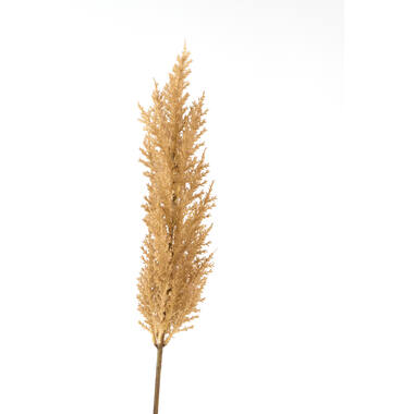Artificial flower 10x10x96 cm PAMPAS brown