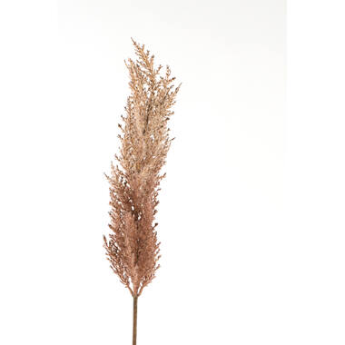 Artificial flower 10x10x96 cm PAMPAS eggplant-sand