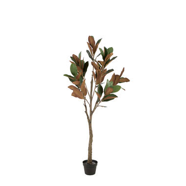 Artificial tree Ø55x150 cm MAGNOLIA green+brown