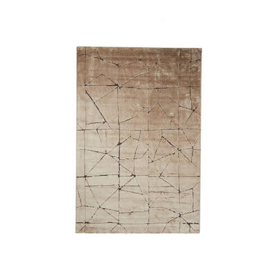 Vloerkleed 200x300 cm DACULA bruin+donker bruin