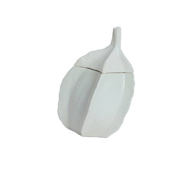 Deco box 21x20,5x31 cm SABARA glans crème