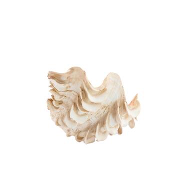 Ornament 23,5x18x11 cm SHELL crème+koraal