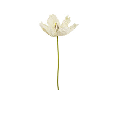 Kunstbloem 32x32x120 cm LOEK papier groen+crème