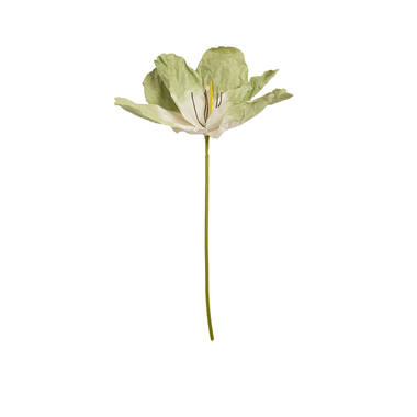 Artificial flower 32x32x120 cm LOEK paper green+light green