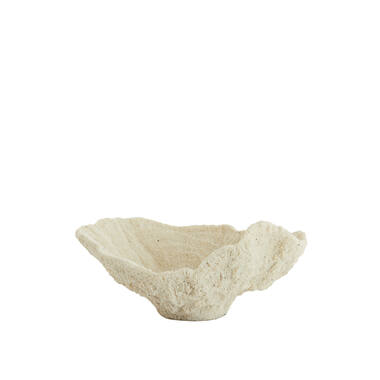 Ornament 25x23x11 cm CORAL cream