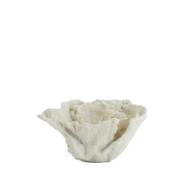 Ornament 23x16x13 cm CORAL cream