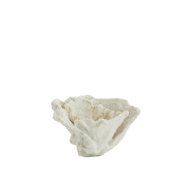 Ornament 23x16x13 cm CORAL cream