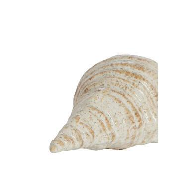 Ornament 23x9,5x7,5 cm SHELL ceramics cream-sand