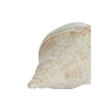 Ornament 27,5x12,5x9 cm SHELL ceramics cream-sand