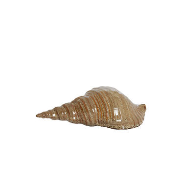 Ornament 27,5x12,5x9 cm SHELL ceramics brown