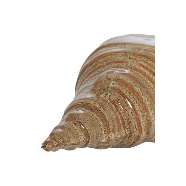 Ornament 27,5x12,5x9 cm SHELL ceramics brown