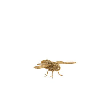 Ornament 24x14,5x5,5 cm CICADA gold