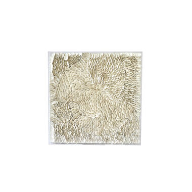 Wall ornament 80x6x80 cm XELHU cream+clear