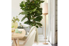 Floor lamp Ø23x159 cm DANIA wood print natural+rope cream