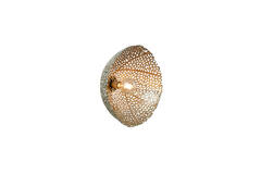 Wall lamp Ø39x20 cm SINULA gold
