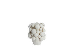 Vase deco 23,5x23x32 cm PLENTZIA matt cream