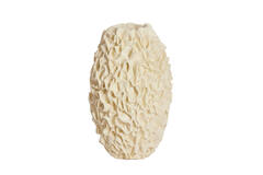 Vaas deco Ø26x39,5 cm AGELLO crème