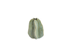 Vaas deco 10,5x9,5x11,5 cm IDRIJA keramiek mint groen